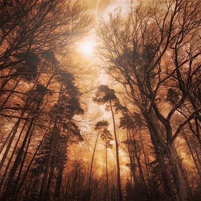 奥亚国际-登录入口截图