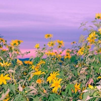 万博体育官方版下载