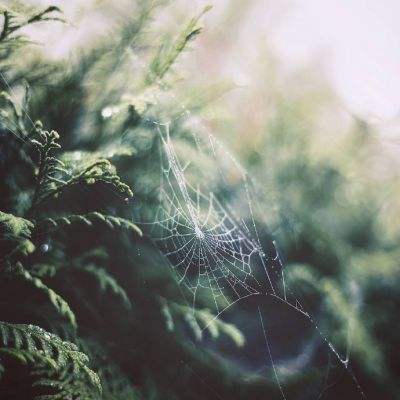 半岛综合娱乐appapp下载